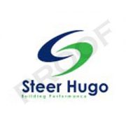 Steer Hugo